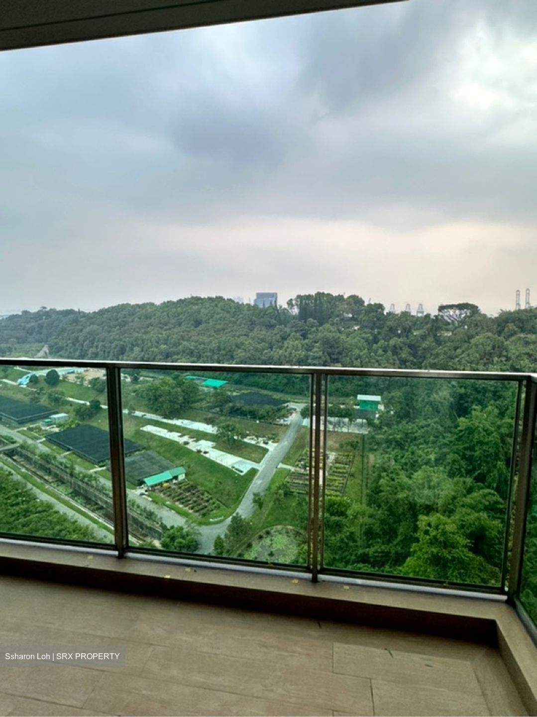 Normanton Park (D5), Apartment #598730461